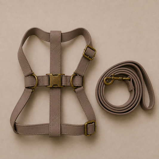 AURAN Essential Set