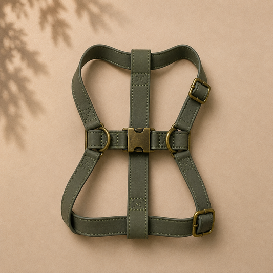AURAN Essential Harness