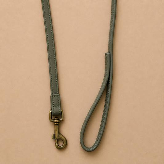 AURAN Essential Leash