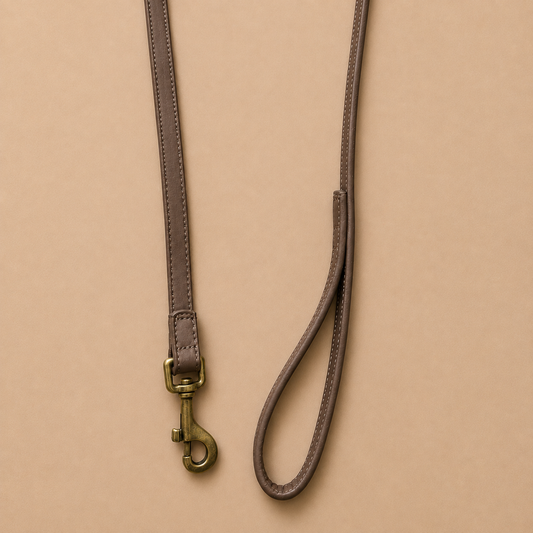 AURAN Essential Leash
